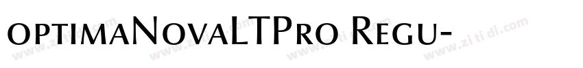 optimaNovaLTPro Regu字体转换